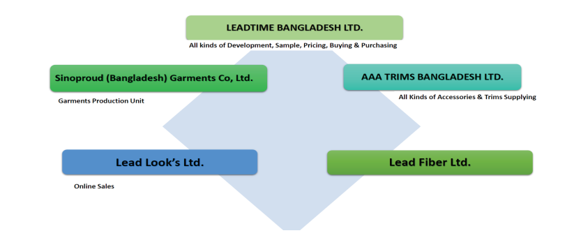 Company Structure Diagram